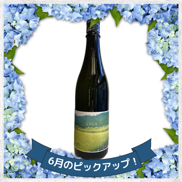 あべ VEGA 2025 vol.1 – ゆい酒店