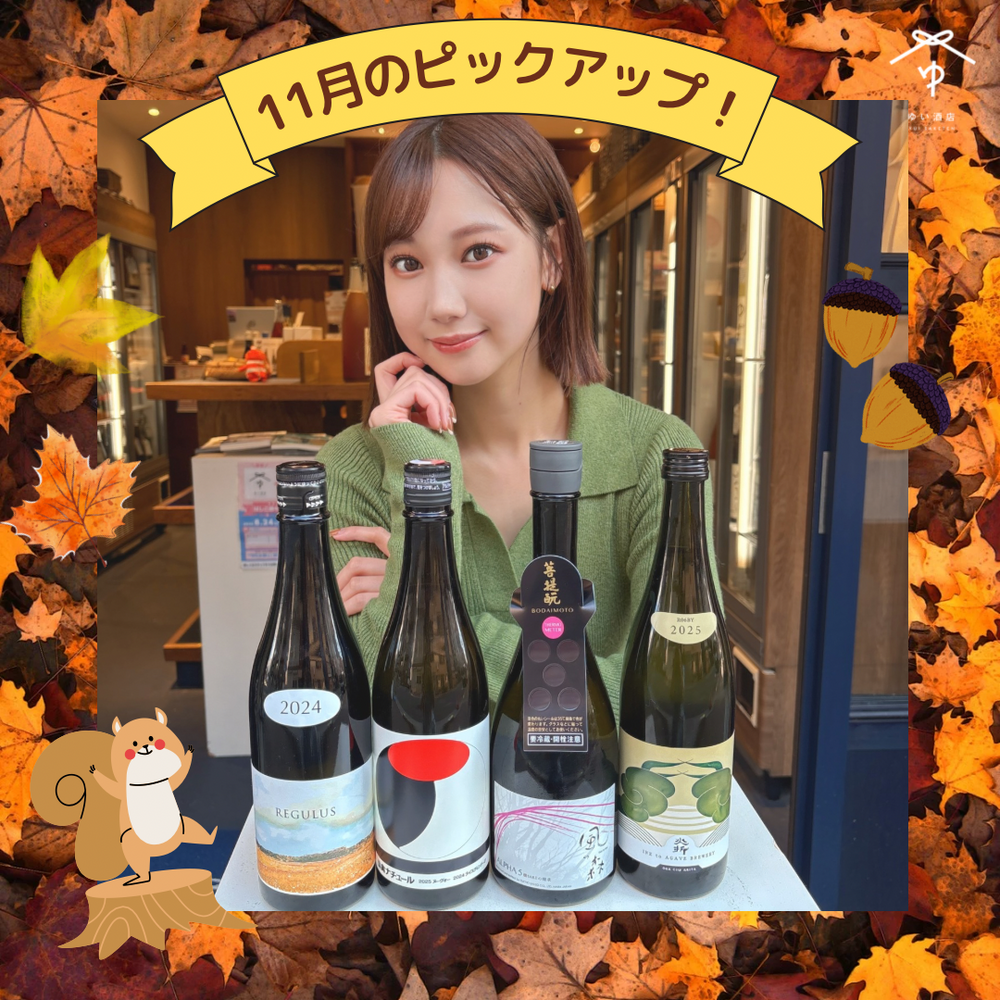 11月のピックアップ！ – ゆい酒店