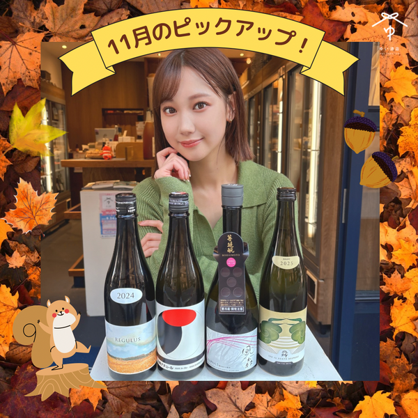 【10セット限定・サイン入りトレカ付き】11 月のピックアップ！セット