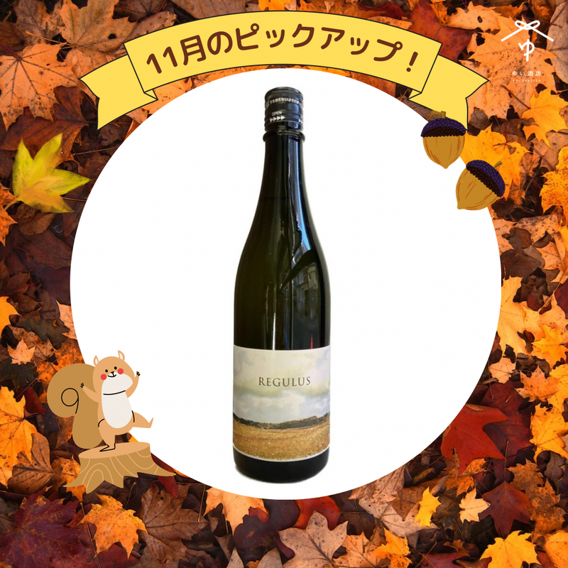 REGULUS 2024 vol.3【720ml】